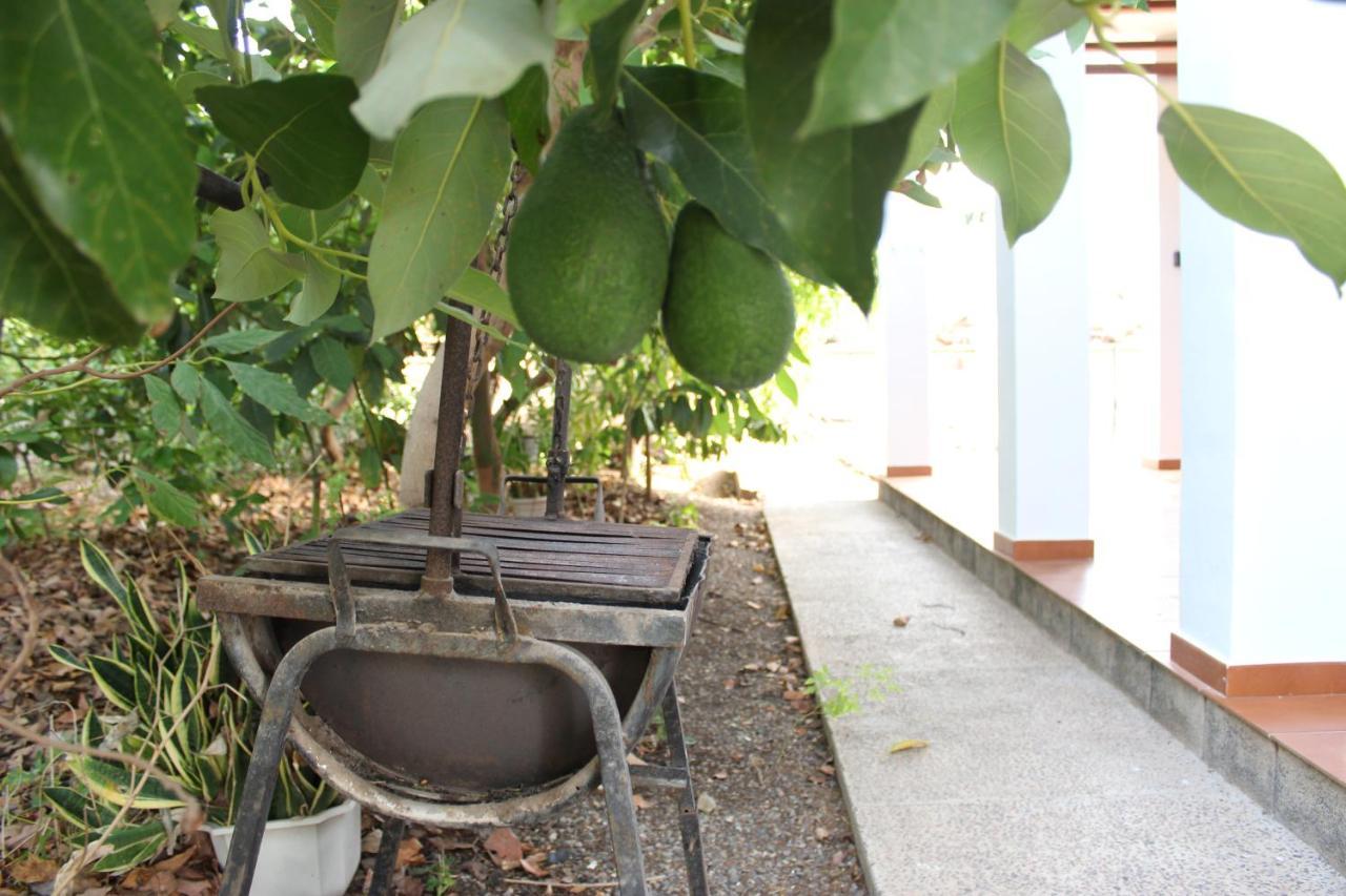 Casita Lily Villa Las Palmas de Gran Canaria Ngoại thất bức ảnh